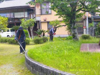 草刈り作業