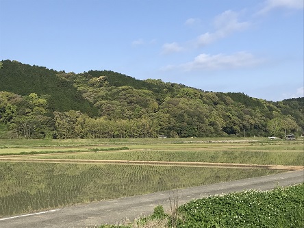 令和5年田植え