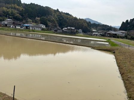 田植えの準備２