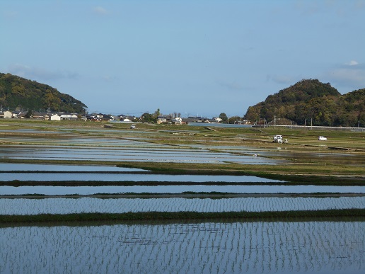 田植え上津浦２