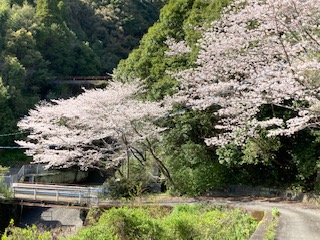 深海ダム