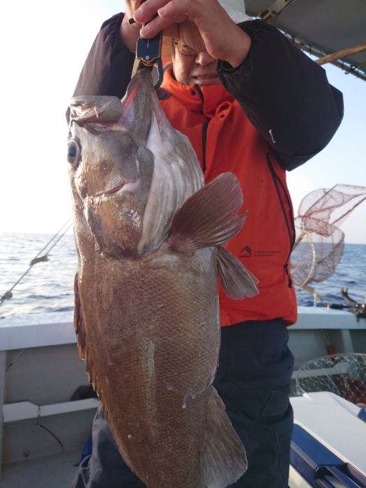 水イカ泳がせ釣り