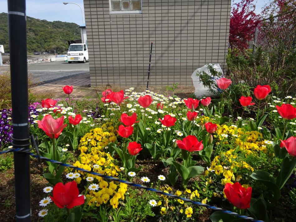 花壇整備