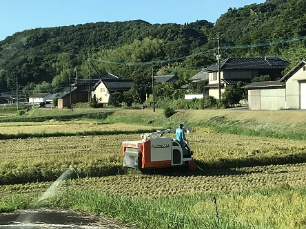 宮本🌾