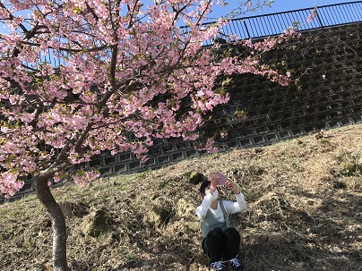 花音と桜