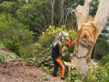 チェンソーアート事業