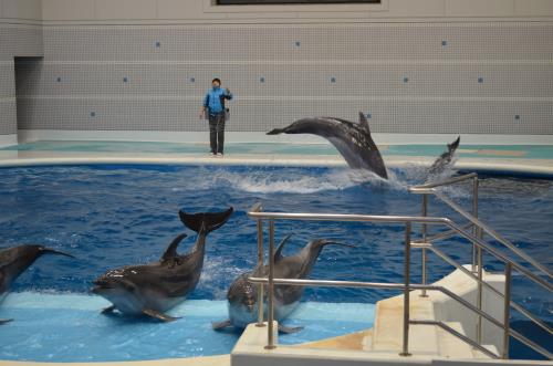 送別遠足