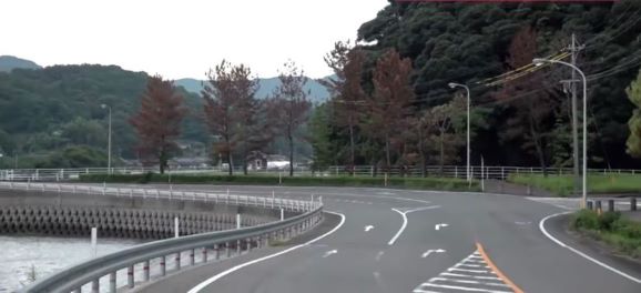 松の木カット前