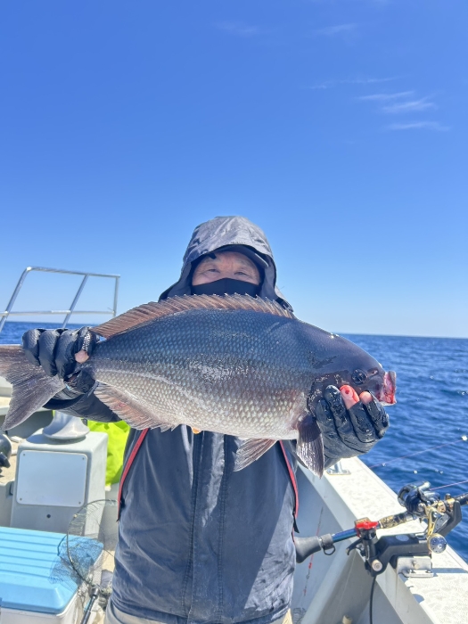オキアミ五目アジ曽根便