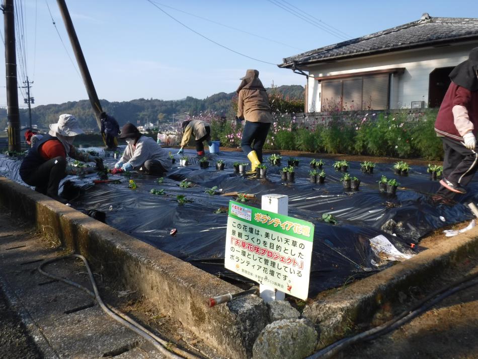 花植え①