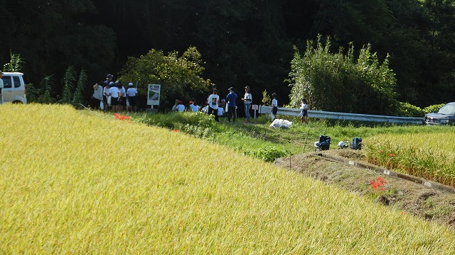 20230924河内川河川清掃（栖本側） (6)