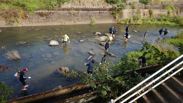 20230924河内川河川清掃（栖本側） (1)