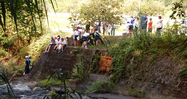 20230924河内川河川清掃（栖本側）