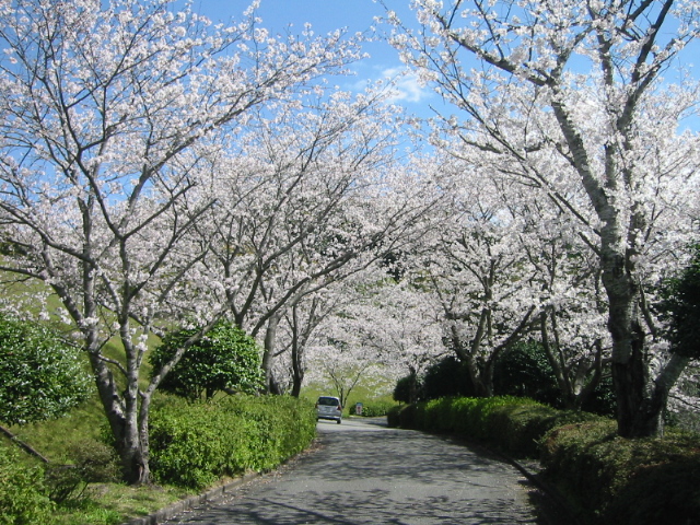 広瀬公園