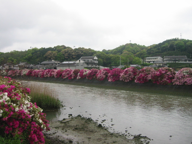 広瀬川