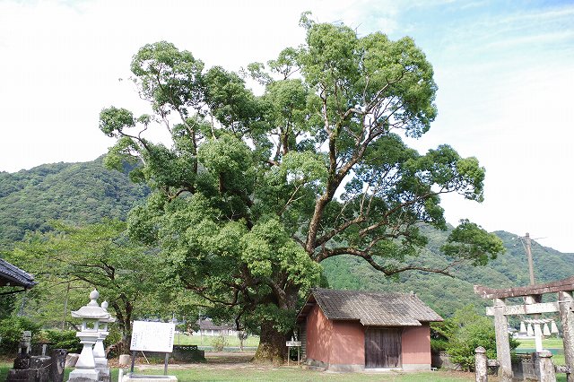 大宮地八幡宮