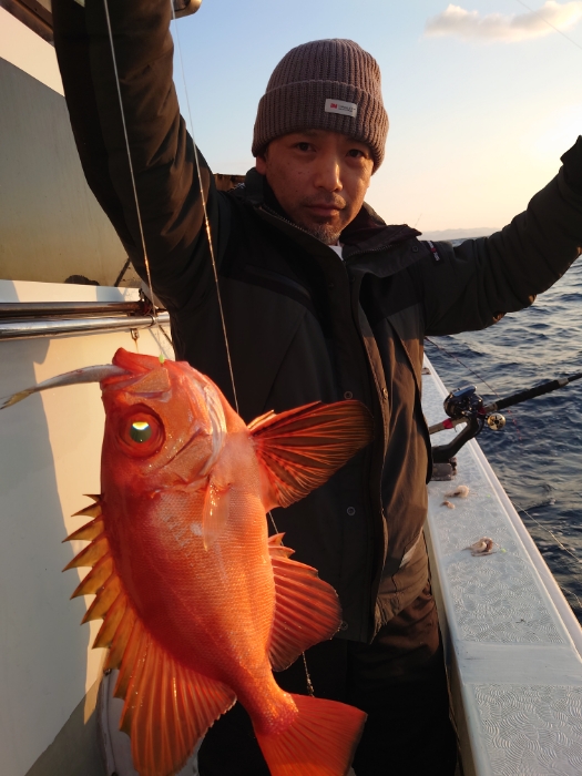 冷凍イワシと切り身釣り