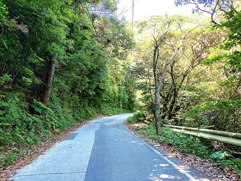 ゆっくり登りゆっくり下ろう！倉岳登山道路