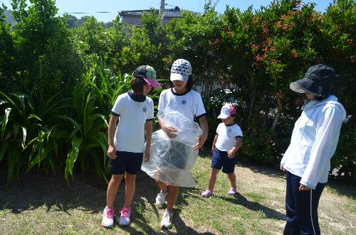 海の学習