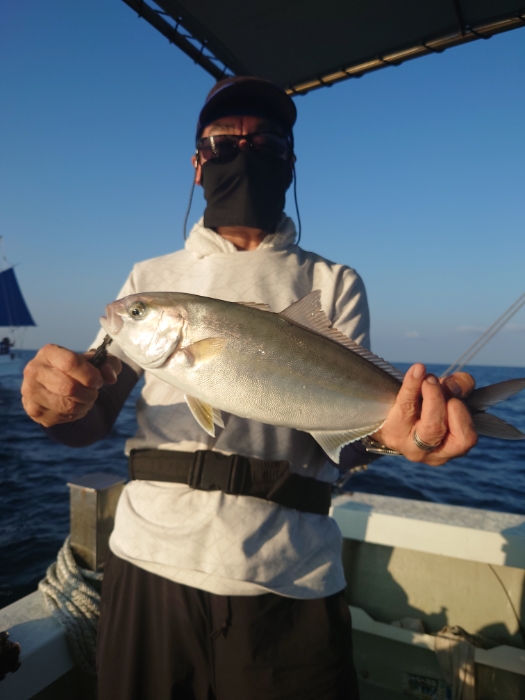 落とし込み釣り