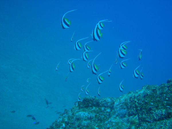 海の様子