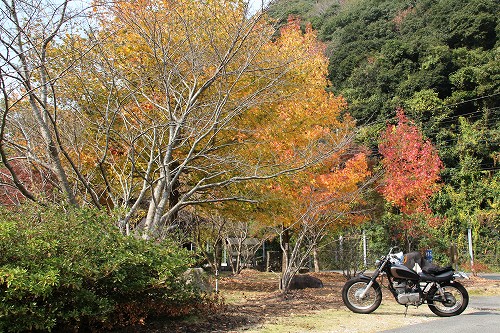 SR400