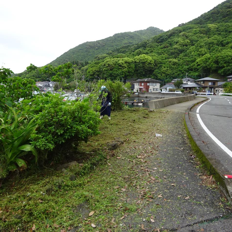 清掃活動