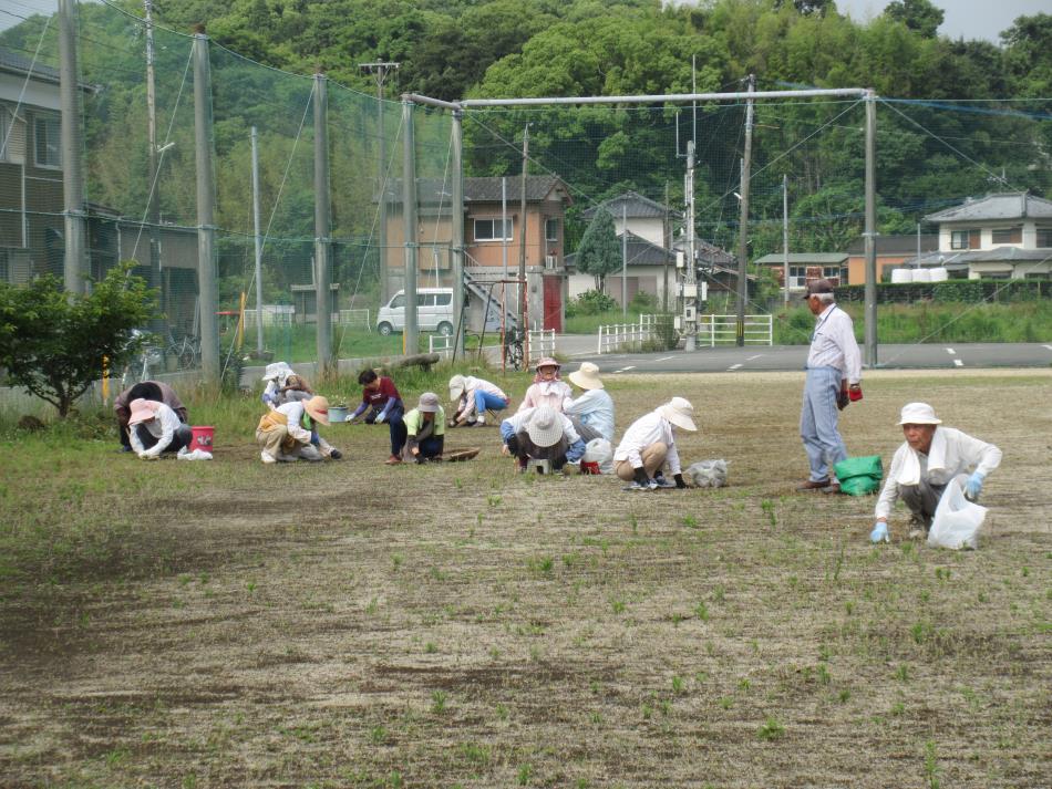 一日一汗運動