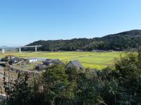 八坂神社からの眺め