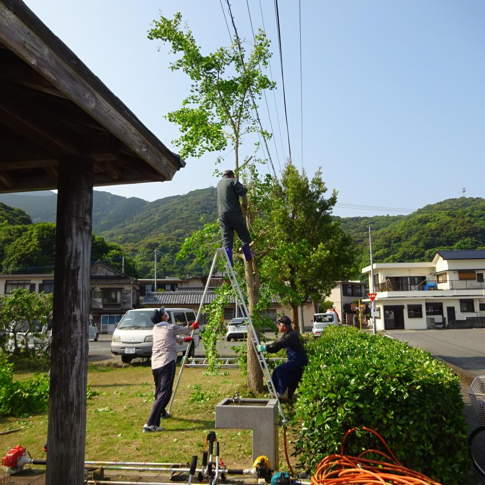 清掃活動