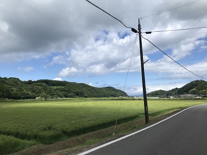 夏の宮本