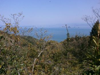 観海アルプス散歩眺め②