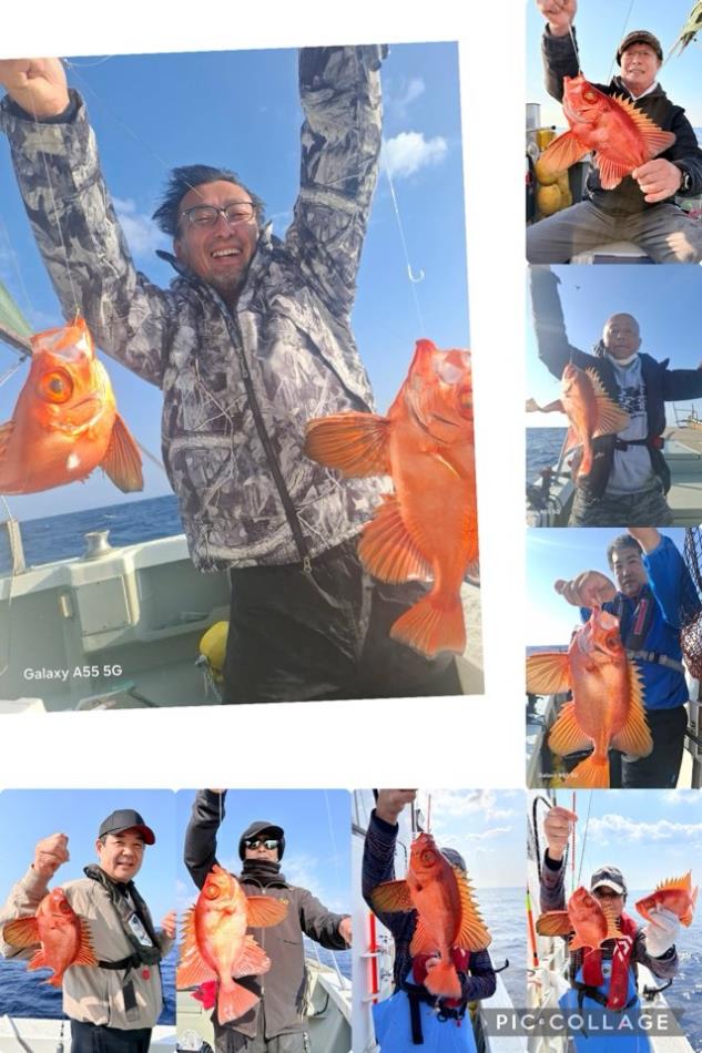 冷凍イワシ＆切り身　根魚釣り