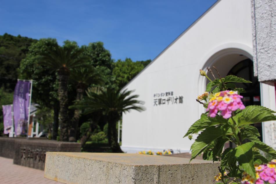 入口花
