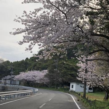 横浦島（回転90）