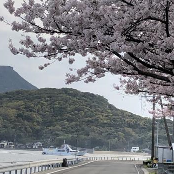 横浦島（回転90）