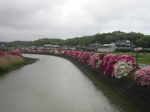 広瀬川