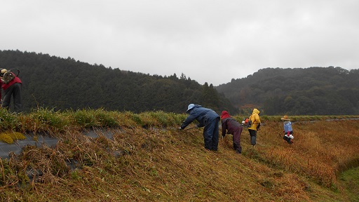 雨の中の作業　２