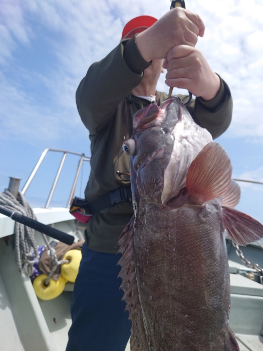 冷凍イワシと切り身釣り