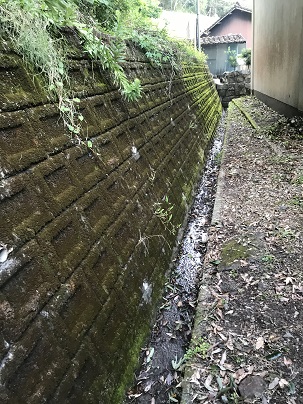 綺麗になった溝