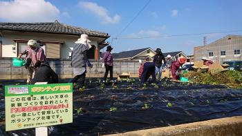 花の苗植え３