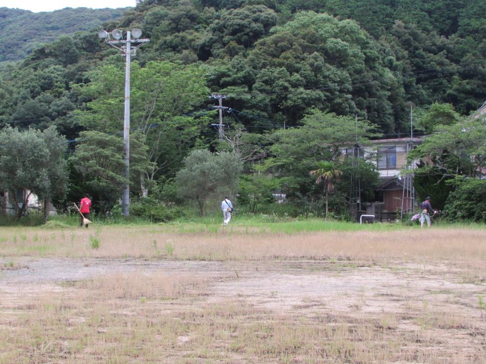 クリーン作戦