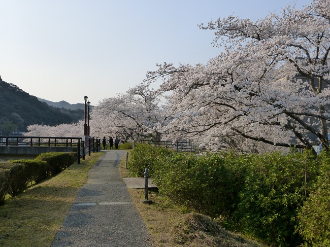 P1000212