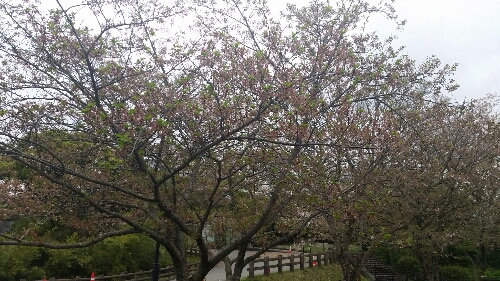 20150405-232228_1.jpg
