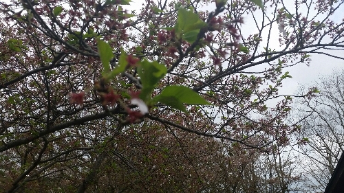 20150405-232228.jpg