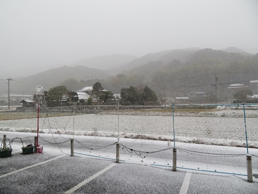 R2.1.8-266号線側の雪