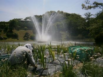牛深公園内清掃作業