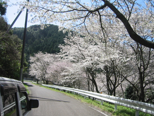 亀川ダム