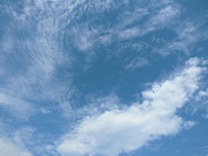 民泊空