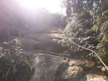 次郎丸岳登山登り②